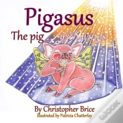 Capa do artigo Pigasus