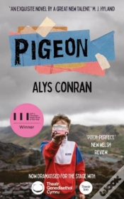 Capa do artigo Pigeon