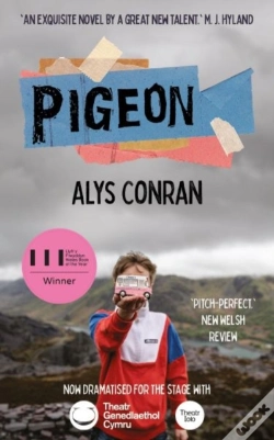 Capa do artigo Pigeon