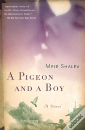 Capa do artigo Pigeon And A Boy