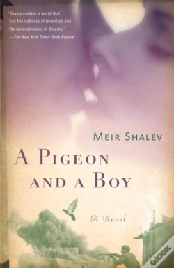 Capa do artigo Pigeon And A Boy