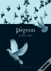 Capa do artigo Pigeon