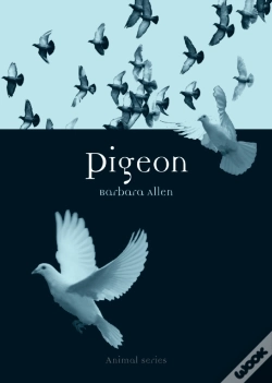 Capa do artigo Pigeon