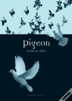 Capa do artigo Pigeon