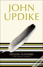 Capa do artigo Pigeon Feathers