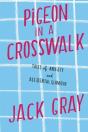 Pigeon In A Crosswalk - Preview