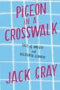 Pigeon In A Crosswalk - Preview