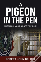 Capa do artigo Pigeon In The Pen