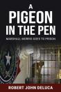 Pigeon In The Pen - Preview