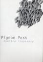 Pigeon Post - Preview