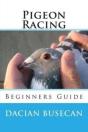 Pigeon Racing - Preview
