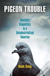Pigeon Trouble