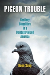 Capa do artigo Pigeon Trouble