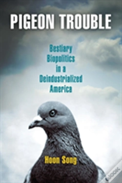 Capa do artigo Pigeon Trouble