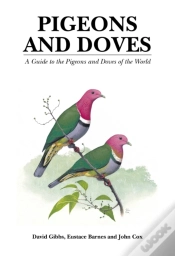 Capa do artigo Pigeons And Doves