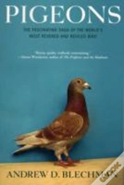 Capa do artigo Pigeons