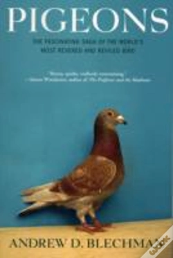 Capa do artigo Pigeons