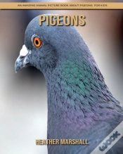 Capa do artigo Pigeons