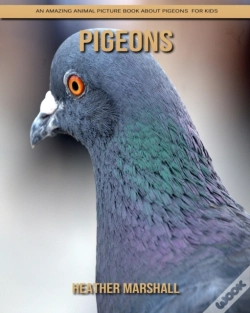 Capa do artigo Pigeons