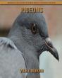 Pigeons - Preview
