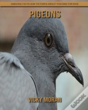 Capa do artigo Pigeons