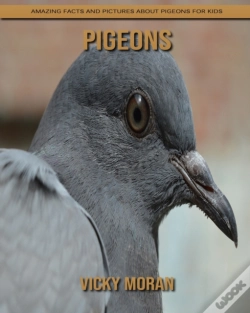 Capa do artigo Pigeons