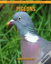 Capa do artigo Pigeons