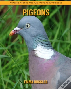 Capa do artigo Pigeons