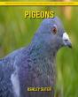 Pigeons - Preview