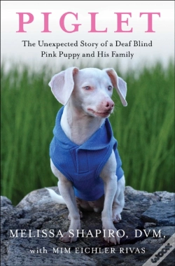 Capa do artigo Piglet