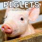Piglets Calendar 2021 - Preview