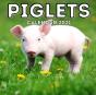 Piglets Calendar 2021 - Preview