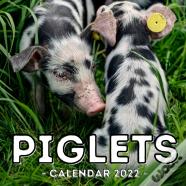 Piglets Calendar 2022