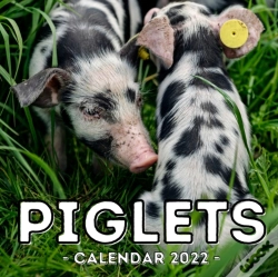 Capa do artigo Piglets Calendar 2022