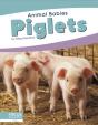 Piglets - Preview