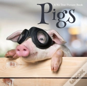 Pigs, A No Text Picture Book