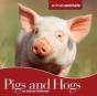 Pigs And Hogs - Preview