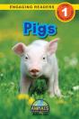 Pigs - Preview