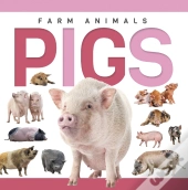 Pigs