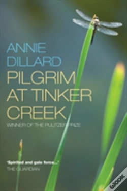Capa do artigo Pilgrim At Tinker Creek
