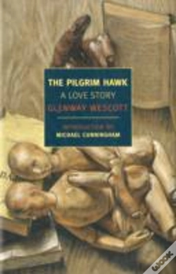 Capa do artigo Pilgrim Hawk