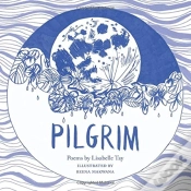 Capa do artigo Pilgrim