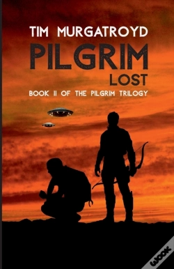 Capa do artigo Pilgrim Lost