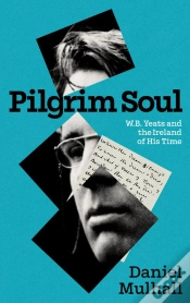 Capa do artigo Pilgrim Soul