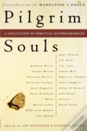 Capa do artigo Pilgrim Souls