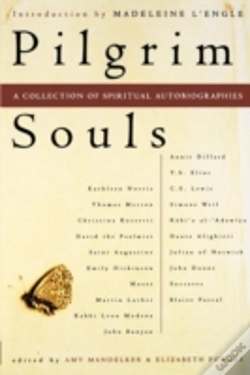Capa do artigo Pilgrim Souls