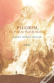 Capa do artigo Pilgrim, You Find The Path By Walking