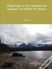 Capa do artigo Pilgrimage To De Cathedral De Santiago D