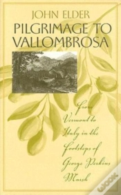 Capa do artigo Pilgrimage To Vallombrosa