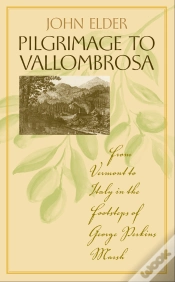 Capa do artigo Pilgrimage To Vallombrosa